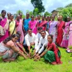 वृक्षलागवड 2