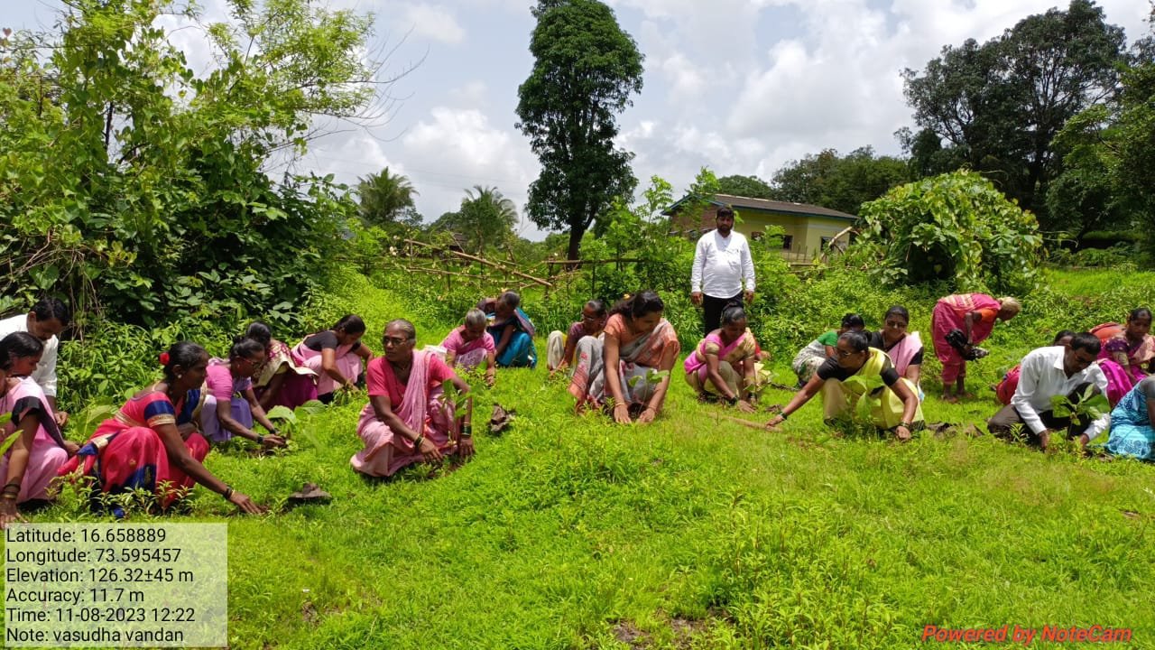 वृक्षलागवड